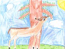 Adult Faline in early spring