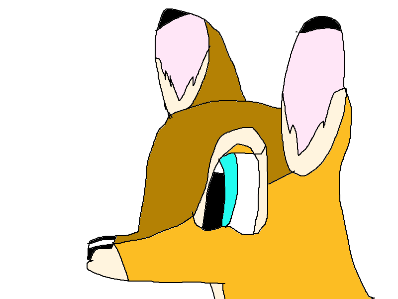 Fawna