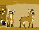 Fawna 2014 Reference sheet