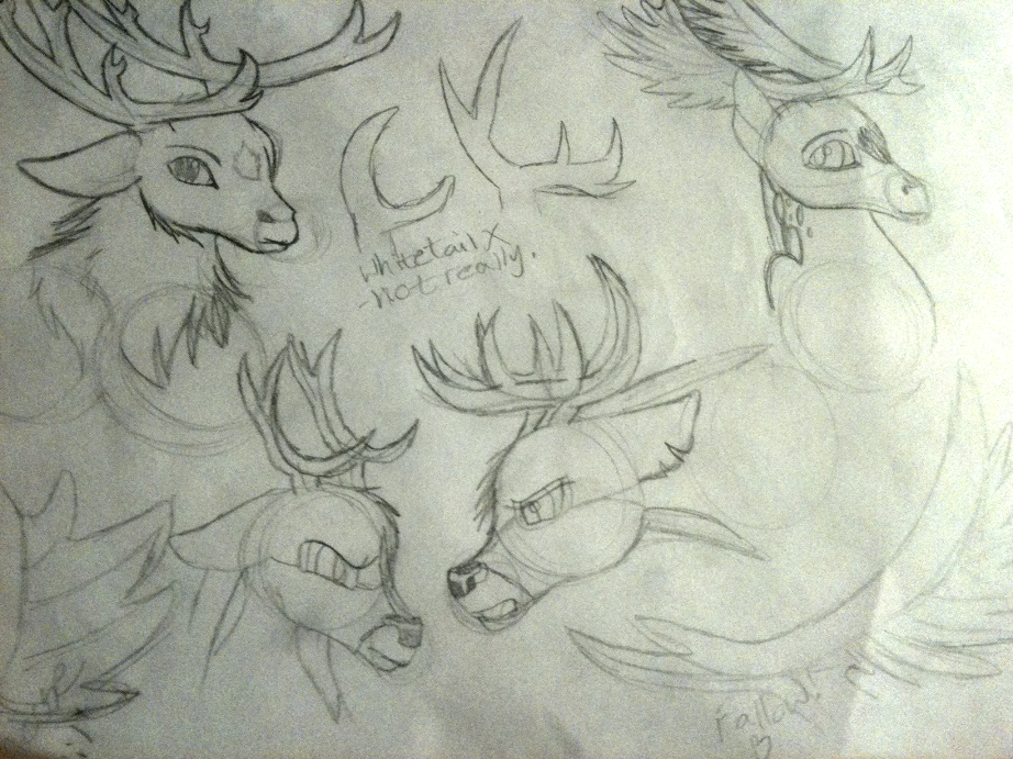 More Doodle deer