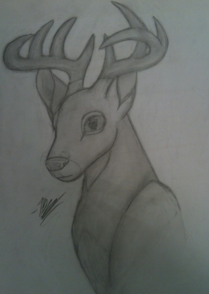 Slightly old-ish, eight-point Buck