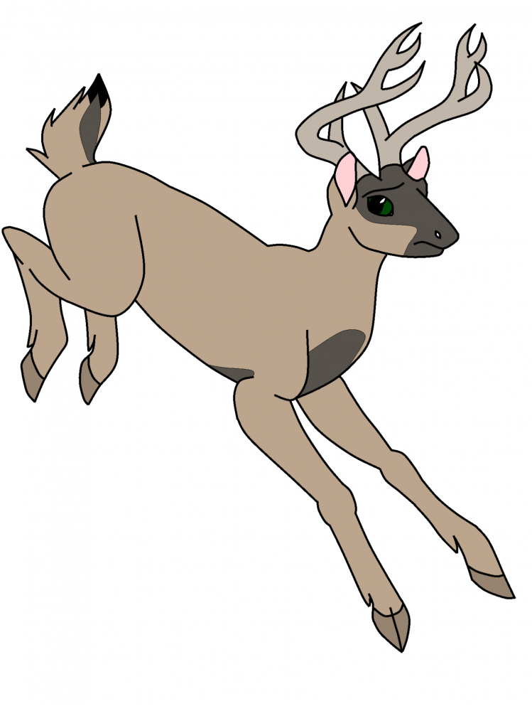 Masked Deer