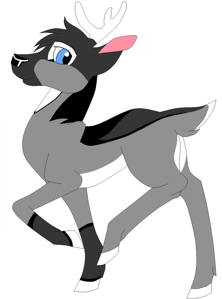 Original Kaiser Concept