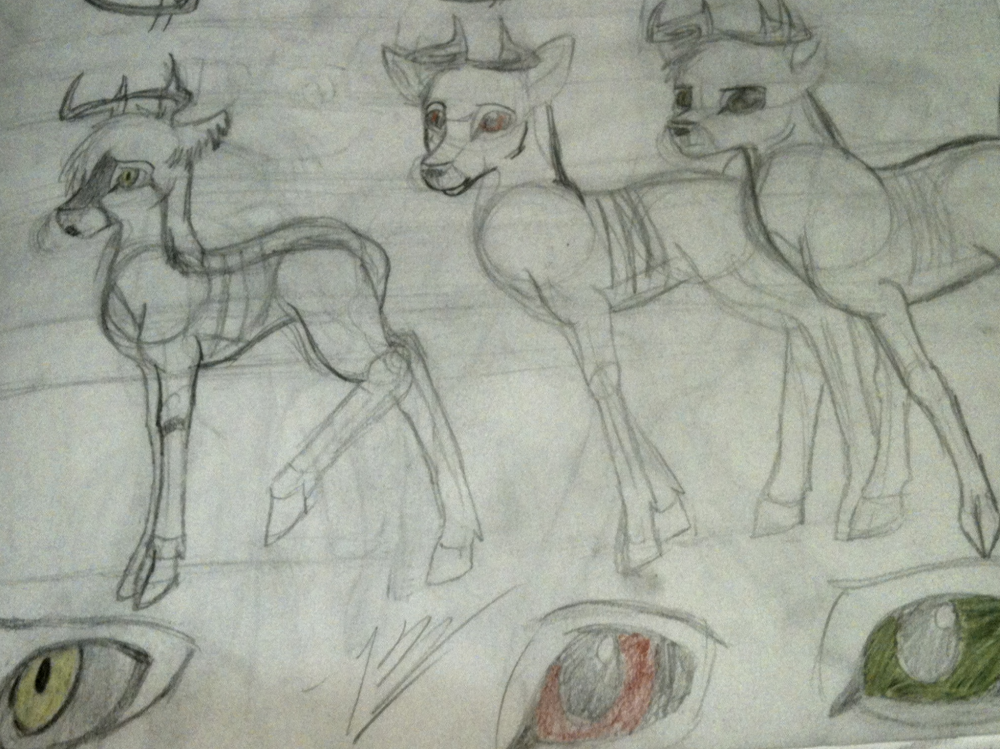 Size Comparisons-Bambi, Ronno, and Corvin Same Age