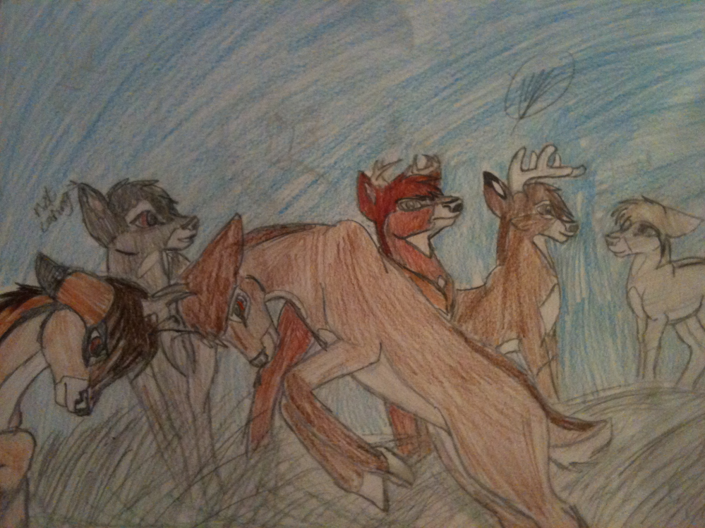 Herd Scene