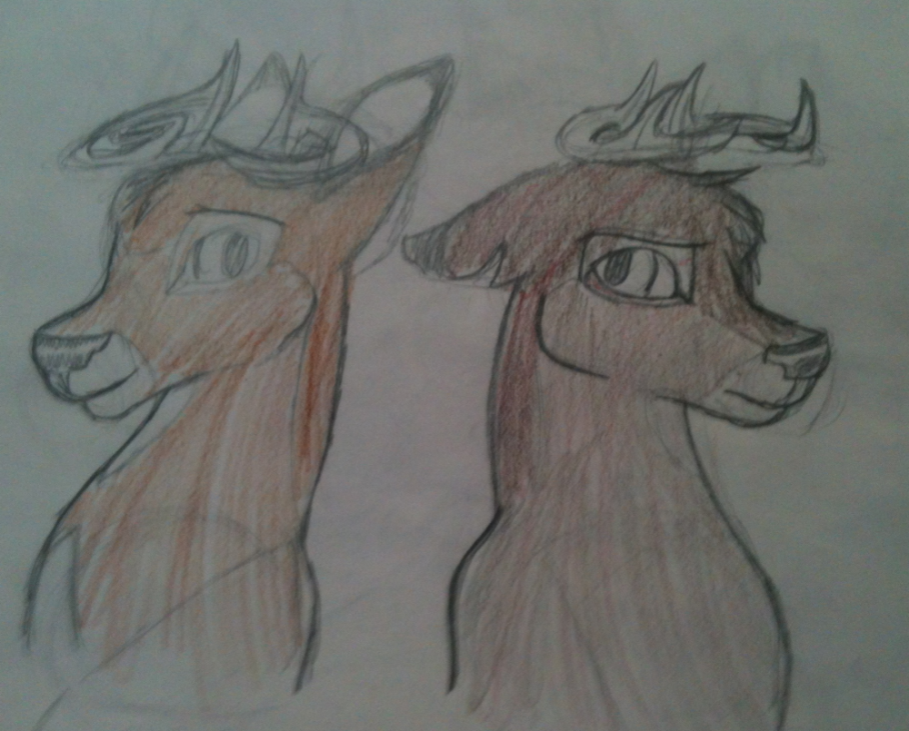 Bambi And Ronno