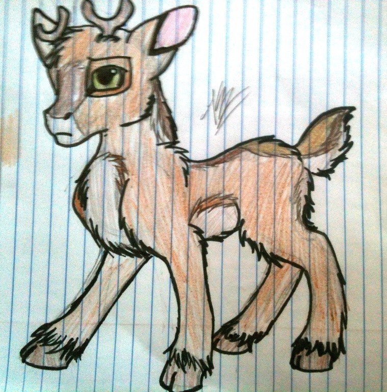 Little Caribou