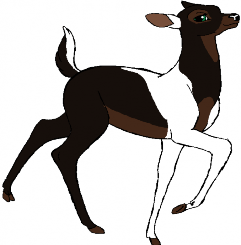 Raven's Doe's design~