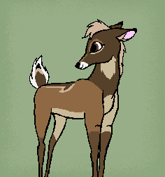 Syndica!