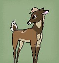 Syndica!