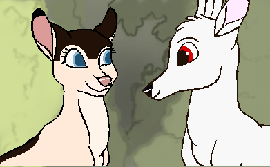 Request for: Rachelisme