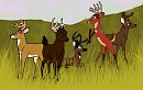Silver Herd Males (Some of Them)