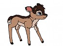Fawn Cedar without spots