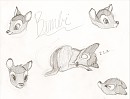 Pics of Bambi