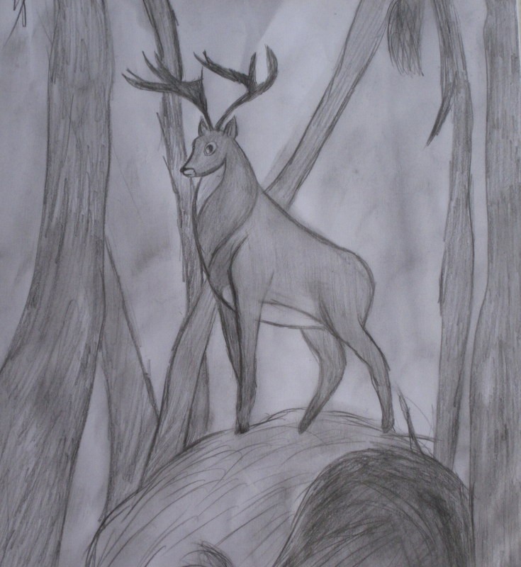 il est le roi de la forêt