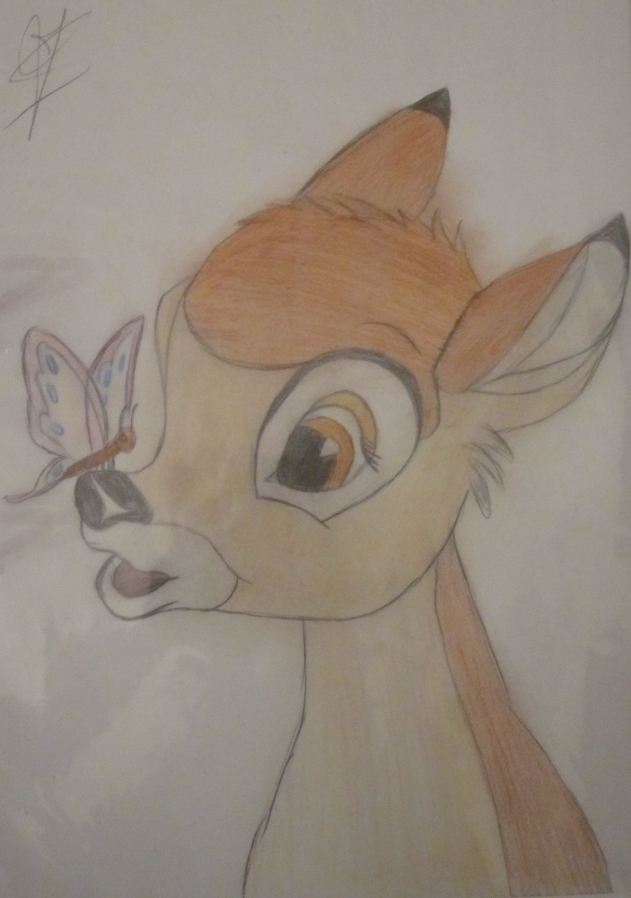 bambi ♥ and butterfly