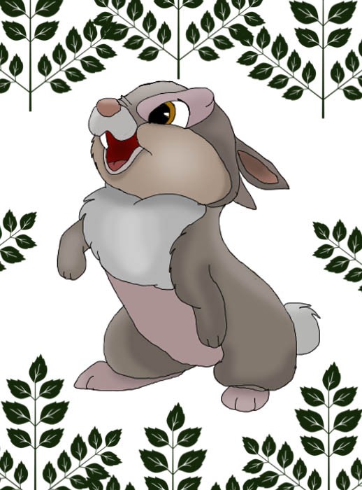 Mon petit lapin préféré