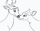 Bambi et Féline
