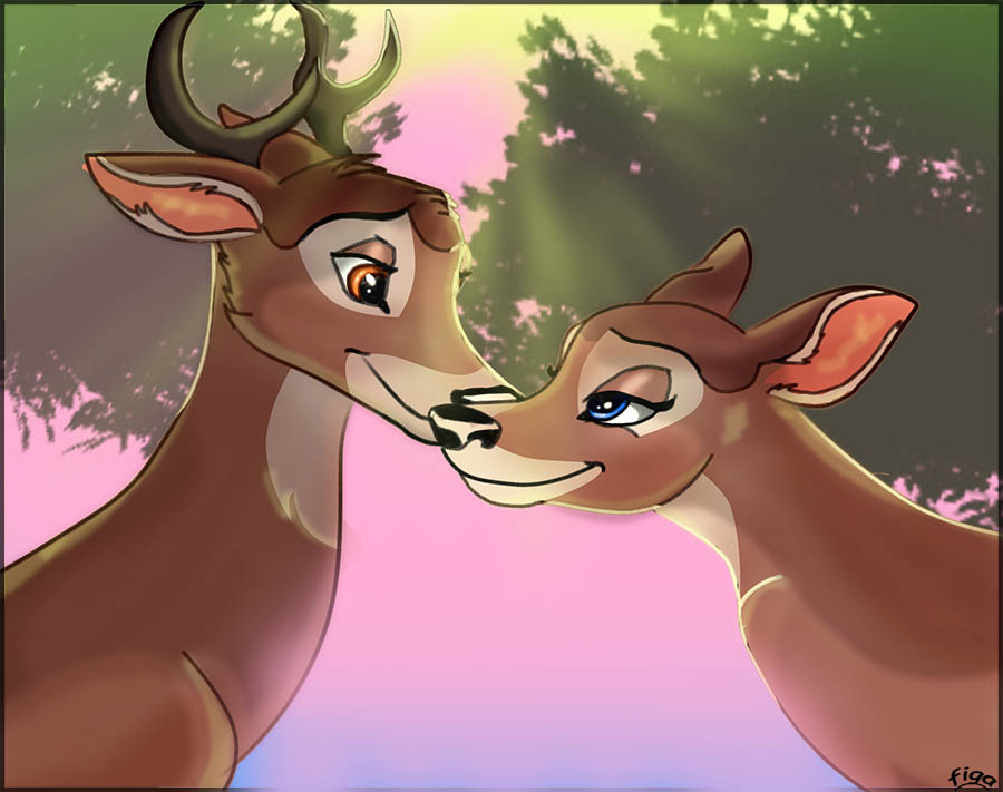 Love is in the air