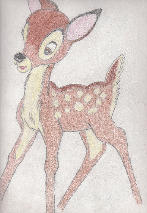 Bambi est surprit !