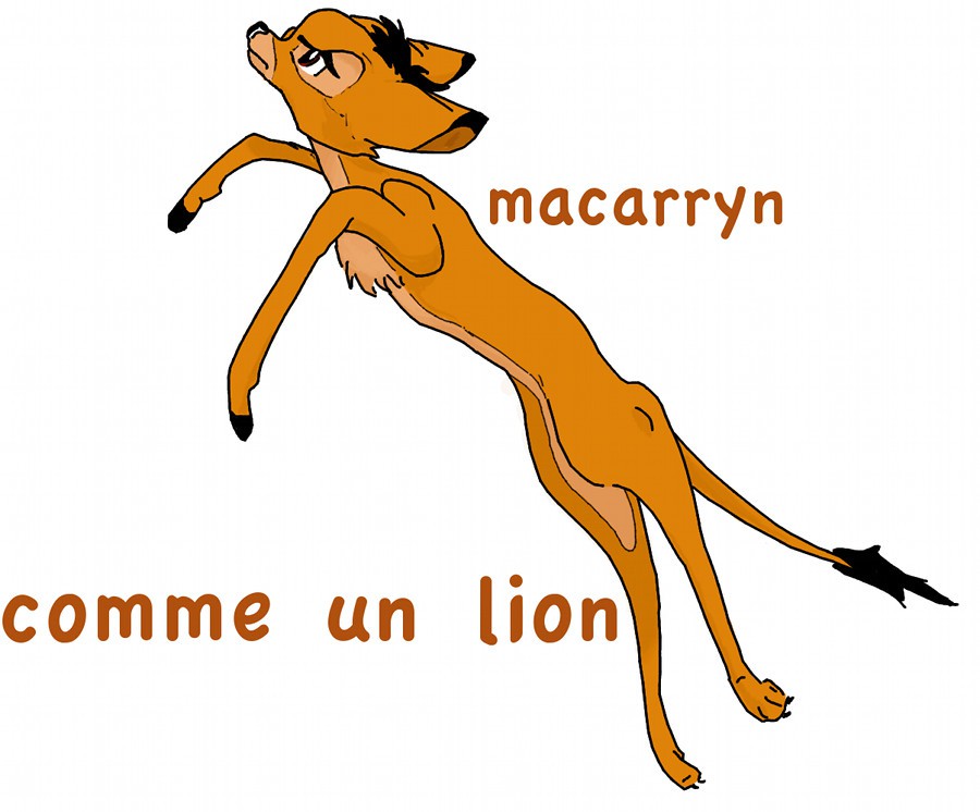 Comme un lion