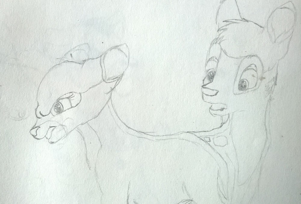 Gender swap : Feline and Ronno