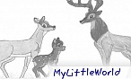 MyLittleWorld