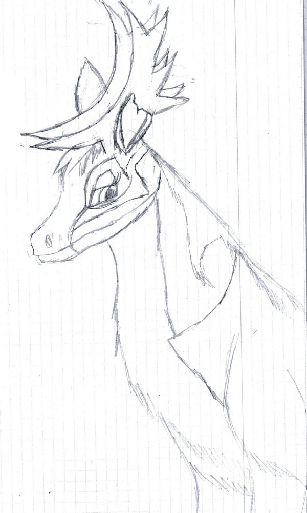 Shila sketch