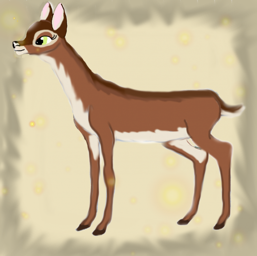 Adult Lyra