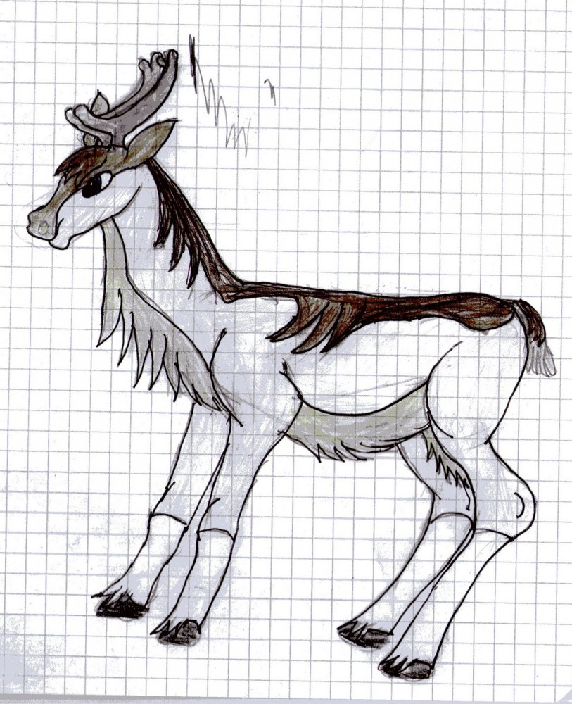 Some random caribou