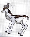 Some random caribou