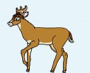 Serey