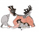 Kesuk and his parents