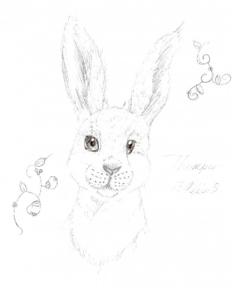 Disney In real life (B): Thumper