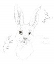 Disney In real life (B): Thumper