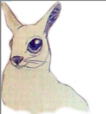 Thumper