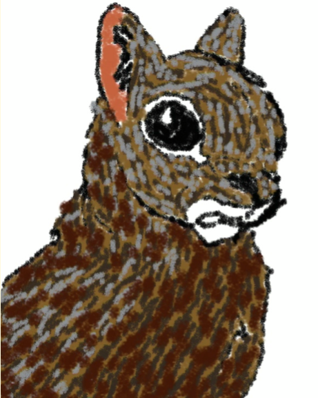 Patter (realistic colors)