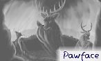 Pawface