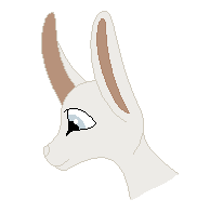 Zima animation!