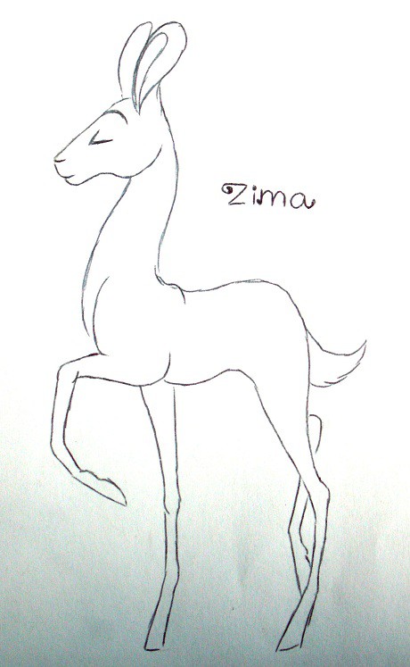 Zima