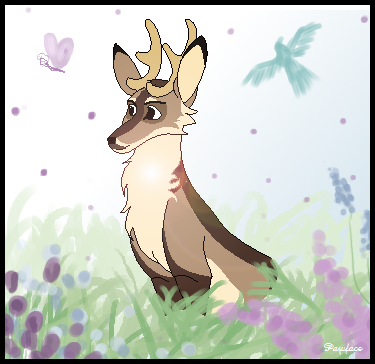 Trade with Kirbeness