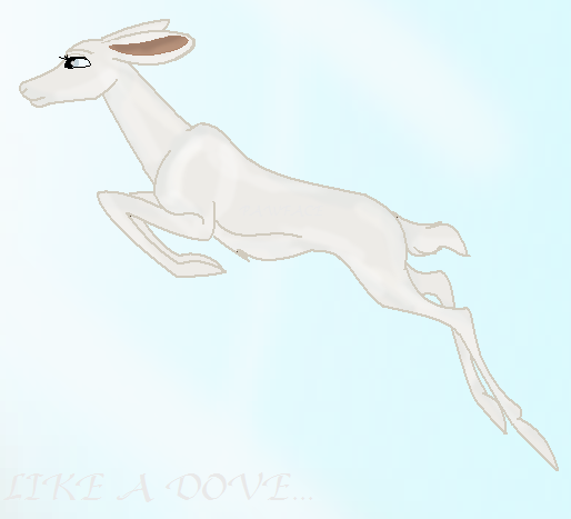 Fly Zima! Fly!
