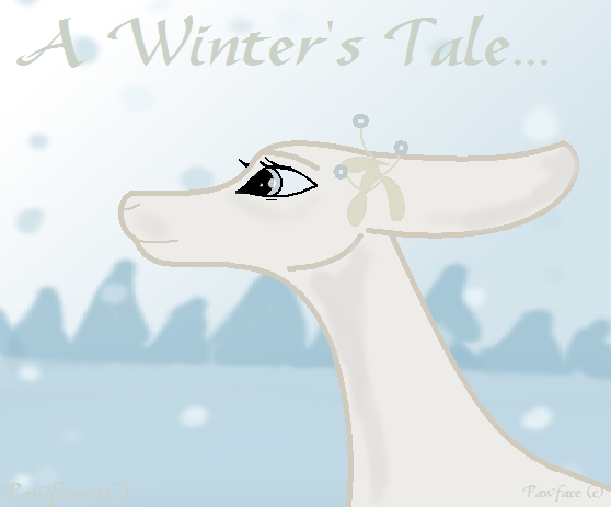 Zima: Winter