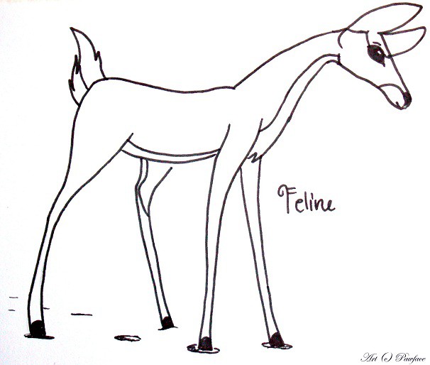 Faline 
