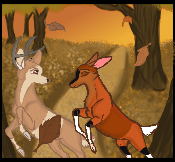 Doe & Rabasask Autumn Walk