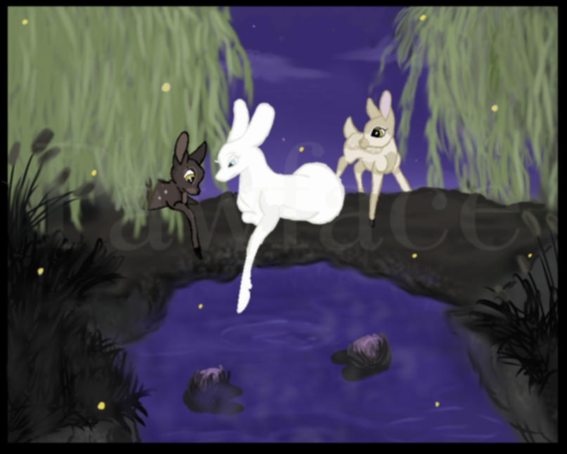 A Dreamy Night
