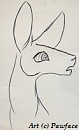 Zima