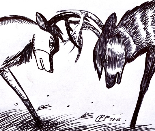 A Fight
