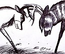 A Fight
