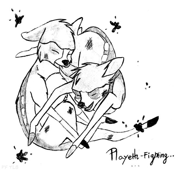 Playeth Fighting